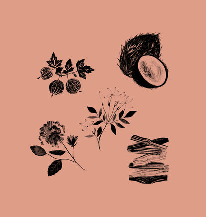 Ingenious aromas