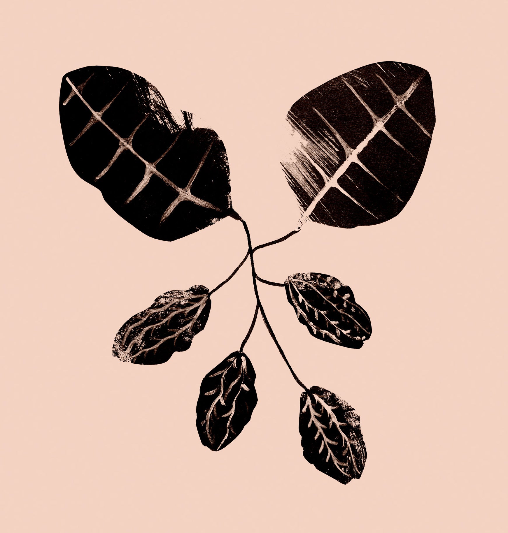 Revisiting our roots | Pitta