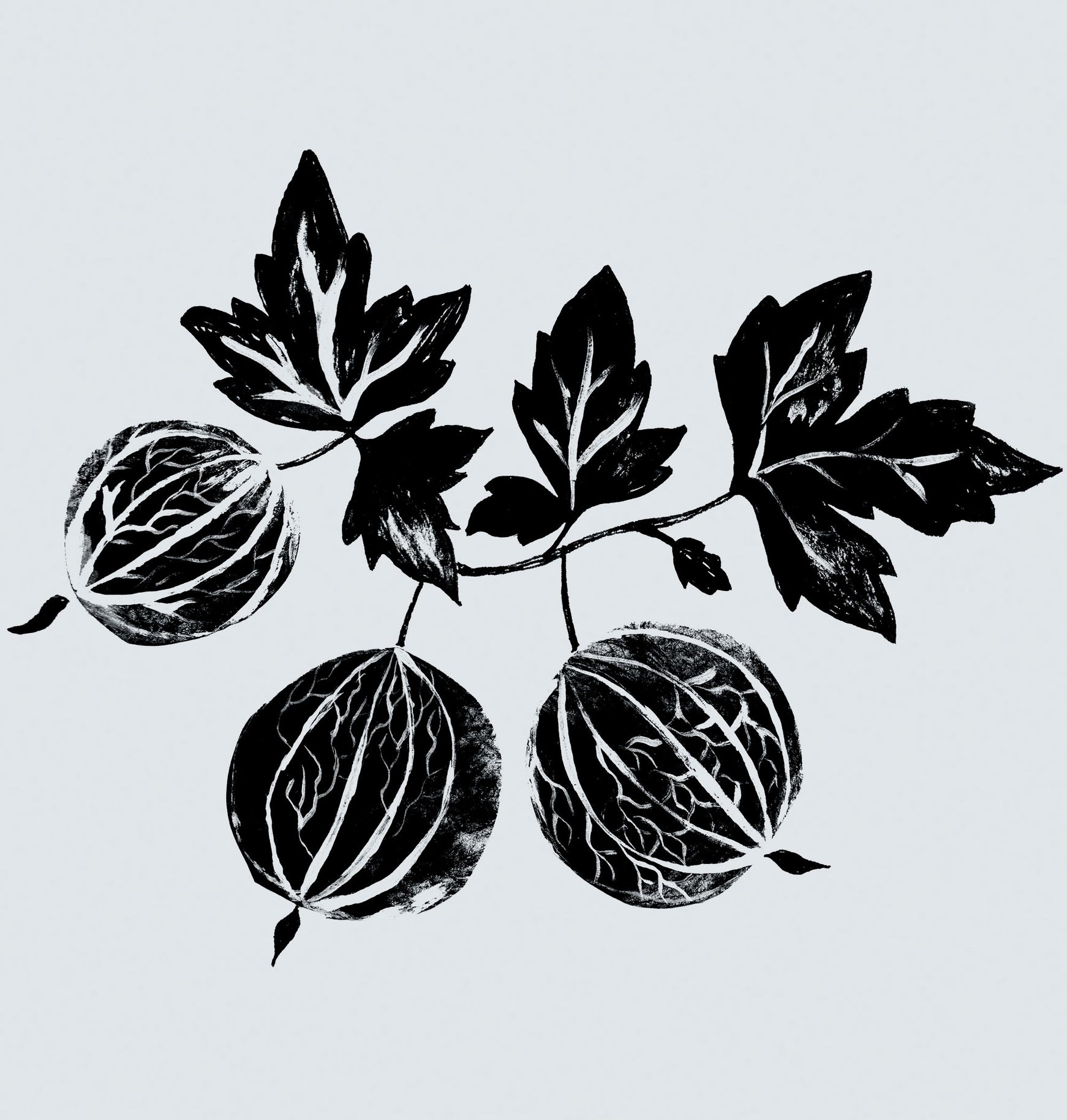 Revisiting our roots | Vata