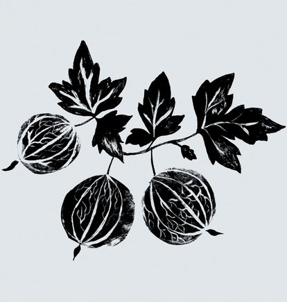 Revisiting our roots | Vata