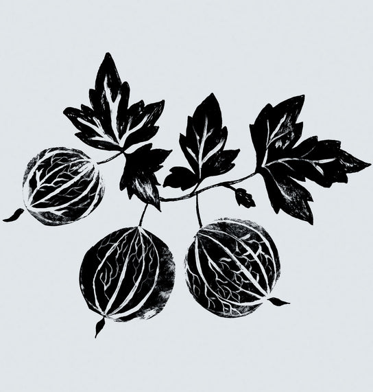 Revisiting our roots | Vata