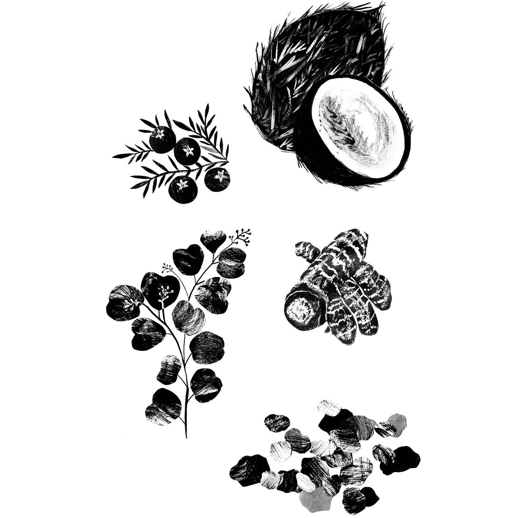Chāmpo Haritaki fruit extract