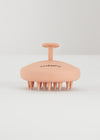 Shampoo brush